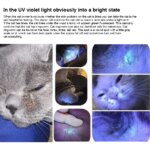 365 UV Veterinary Wood Lamp Pet Fungus Detection Waterproof Flashlight Skin Ultraviolet Light Cat Moss Tinea Light Black Mirror - Image 5