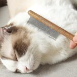 Hair Cats Accessories Handle Cats Remover Pet Cleaning Pets Brush Massager for Stainless Things Grooming Dog Comb. Tools Dogs - Image 3