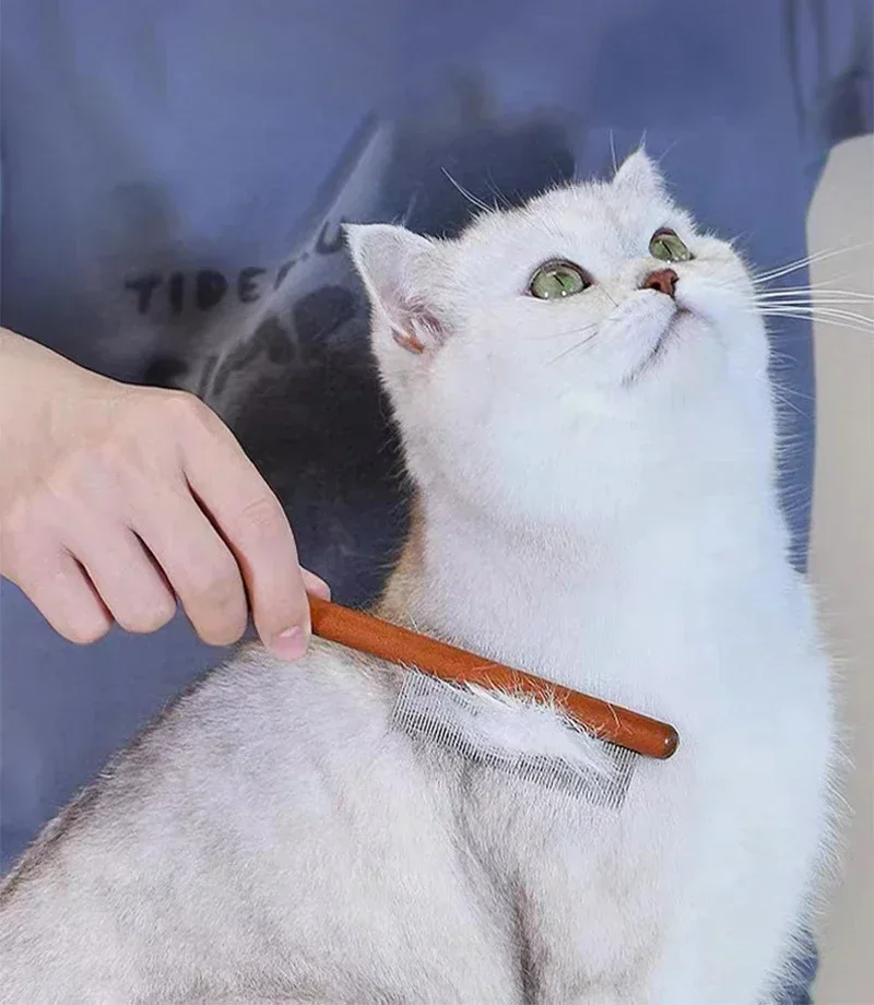 Hair Cats Accessories Handle Cats Remover Pet Cleaning Pets Brush Massager for Stainless Things Grooming Dog Comb. Tools Dogs