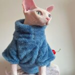 Pet Cat Sweater Home Fur Autumn and Winter Warm Solid Color Soft Arctic Velvet Skincare Suitable for Devonshire Cats, Hairless C - Image 3