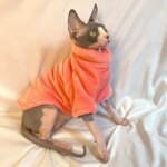 Fashionable Clothes For Cats Sphynx Cat Sweater Kitten Clothing Hound Dog Hoodie Clothes For Sphinx Cat Outfit Pet Jumpsuits - Image 4