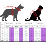 Fashionable Clothes For Cats Sphynx Cat Sweater Kitten Clothing Hound Dog Hoodie Clothes For Sphinx Cat Outfit Pet Jumpsuits - Image 6