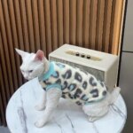 Derby cat hairless cat winter warmth plush fur two-legged suit suitable for small to medium-sized cat base layers machine washab
