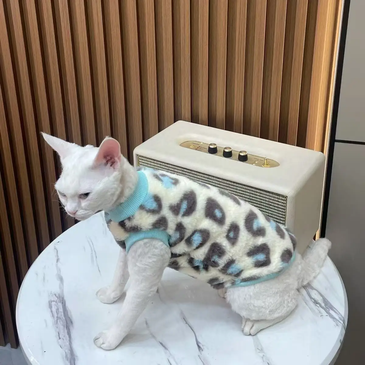 22856-1mtrzv.jpg Derby cat hairless cat winter warmth plush fur two-legged suit suitable for small to medium-sized cat base layers machine washab - Image 1