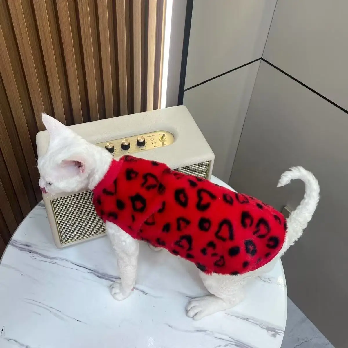 Derby cat hairless cat winter warmth plush fur two-legged suit suitable for small to medium-sized cat base layers machine washab Derby cat hairless cat winter warmth plush fur two-legged suit suitable for small to medium-sized cat base layers machine washab