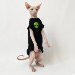 Cat Clothes for Sphynx Fashion Black Cotton Coat for Cat Striped Winter T-shirt For Devon Rex Soft cotton T-shirt Cat costume - Image 2