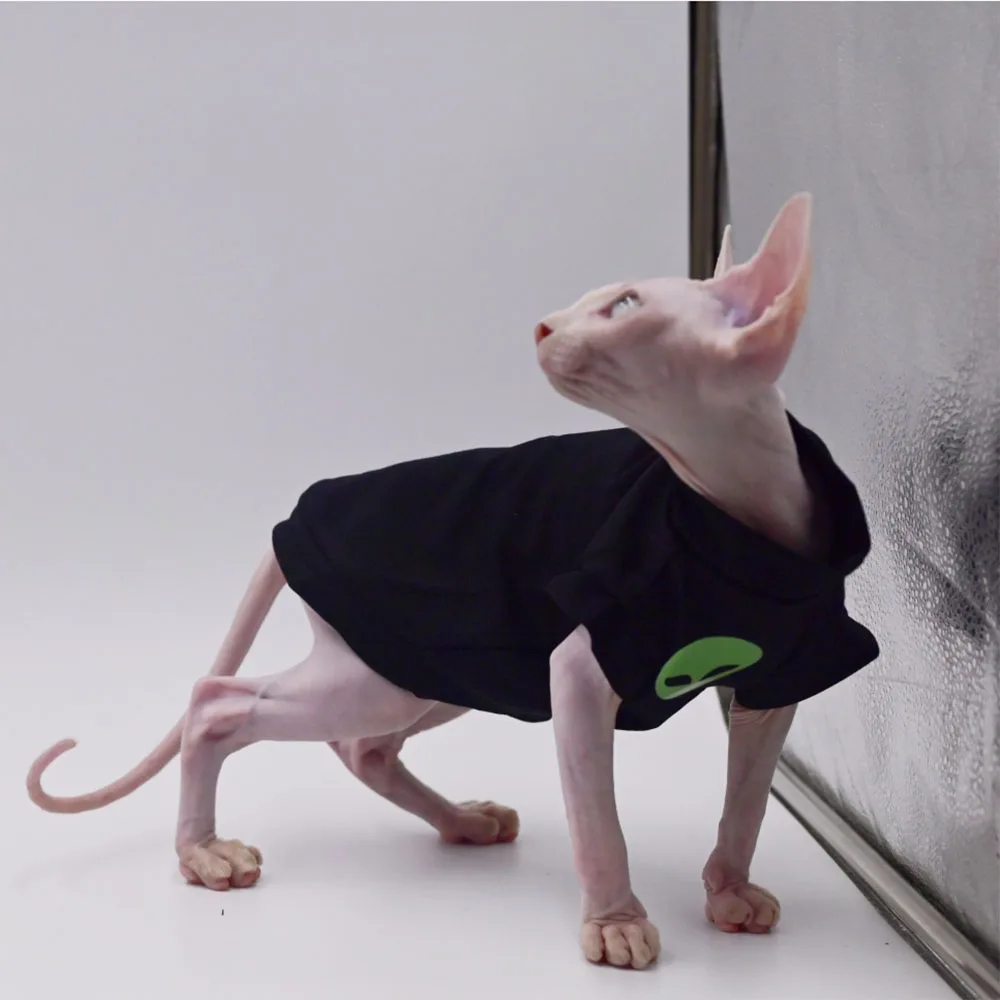 Cat Clothes for Sphynx Fashion Black Cotton Coat for Cat Striped Winter T-shirt For Devon Rex Soft cotton T-shirt Cat costume Cat Clothes for Sphynx Fashion Black Cotton Coat for Cat Striped Winter T-shirt For Devon Rex Soft cotton T-shirt Cat costume