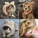 Winter Pet Sweater Coat Cute Ear Soft Hoddie Kitten Clothes Cozy Fleece Costume For Small Dogs Cats Sphynx Cat Yorkshire Outfits - Image 5