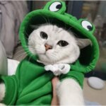 1PC  Cute Frog Design Dog/Cat Hoodie - Winter Warm Pet Hoodie with Velvet - Image 4