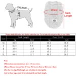 Soft Cat Clothes For Small Medium Dog Cats Sphynx Fleece Pullover Sweatshirt Autumn Winter Warm Puppy Kitten Coat Pet Costume - Image 2