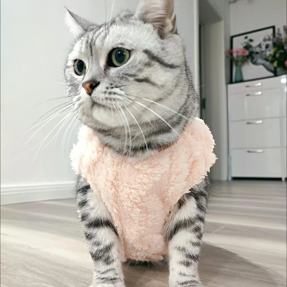 Soft Cat Clothes For Small Medium Dog Cats Sphynx Fleece Pullover Sweatshirt Autumn Winter Warm Puppy Kitten Coat Pet Costume Soft Cat Clothes For Small Medium Dog Cats Sphynx Fleece Pullover Sweatshirt Autumn Winter Warm Puppy Kitten Coat Pet Costume