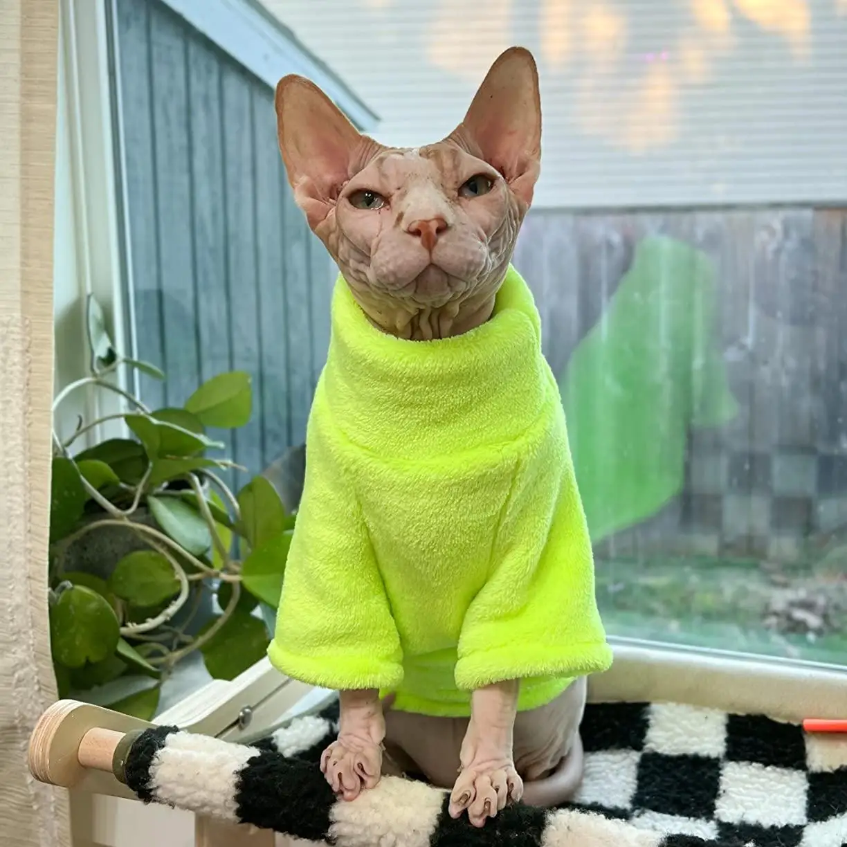 23655-chsi4j.jpg TONG Warm and Soft Four-Legged Hoodie for Winter Hairless Cat Clothes for Sphynx Cats Devon Rex Cornish - Image 1
