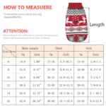 Christmas Cat Sweater Winter Warm Pet Costume for Cats Kedi katten Sphynx Clothing Mascotas Clothes for Dog Animals ropa de gato - Image 2