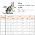 Autumn Winter Warm Pet Cat Costume for Cats Soft Fleece Dog Cat Clothes Kedi Katten Mastomas Clothing Pullovers ropa para gato - Image 2