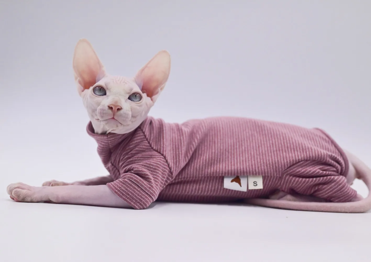 Hairless Cat Clothes Warm and Soft Four-Legged Hoodie for Sphynx Cats for Autumn and Winter for Devon Rex, Cornish Hairless Cat Clothes Warm and Soft Four-Legged Hoodie for Sphynx Cats for Autumn and Winter for Devon Rex, Cornish