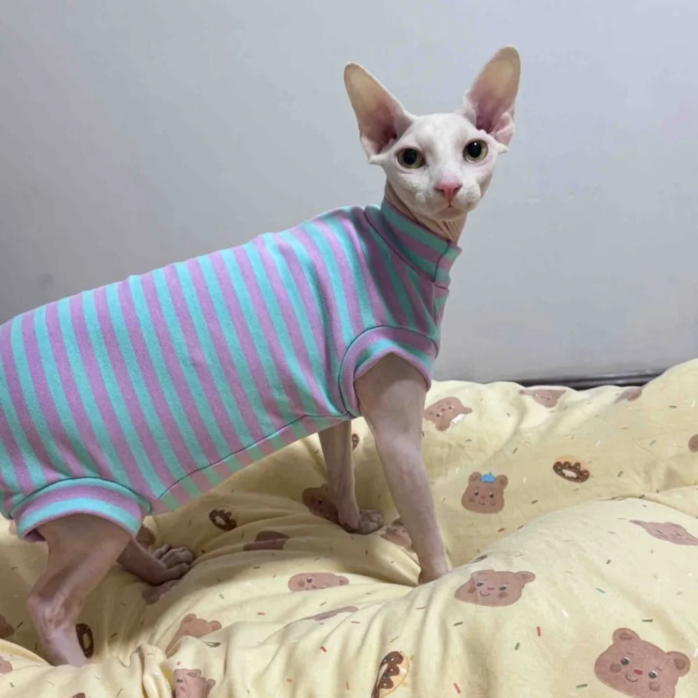 Cotton Jumpsuit for Sphynx Cat Clothes Short Sleeve Warm Coat For Devon Rex Soft Cartoon Undershirt For Kittens in Autumn Spring Cotton Jumpsuit for Sphynx Cat Clothes Short Sleeve Warm Coat For Devon Rex Soft Cartoon Undershirt For Kittens in Autumn Spring