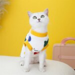 Korean Style Sphynx Cat Sweater with Buckle Winter Warm Pet Clothes for Cats Gotas Garfield Persian Pullovers mascotas Clothing - Image 6