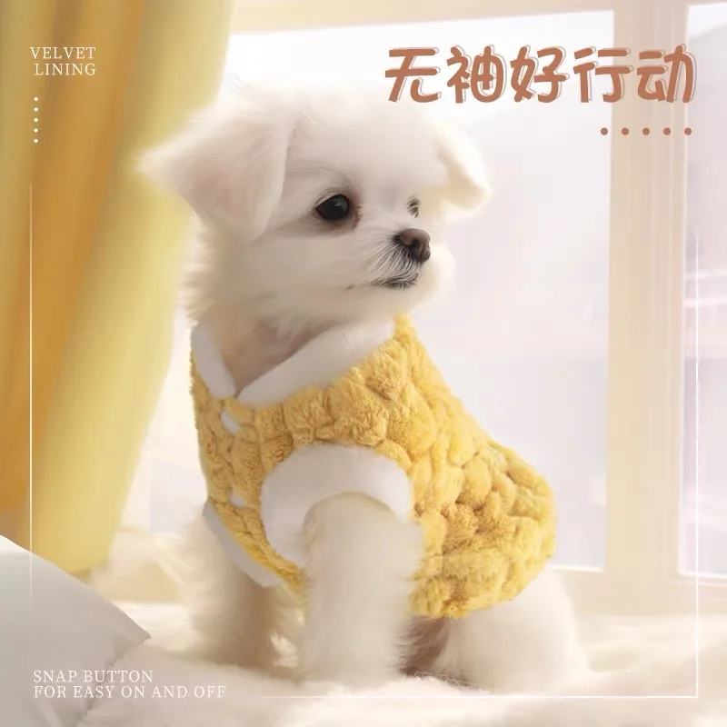 Autumn and winter new cute pet dog dog cat clothes winter warm beetle velvet vest warm Autumn and winter new cute pet dog dog cat clothes winter warm beetle velvet vest warm
