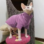 Sphynx Cat Clothes Winter Thick Pet Clothes for Small Dogs Cats Pullover Shirt Soft Warm Hairless Cat Pajamas Dachshund Clothing - Image 3