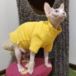 Sphynx Cat Clothes Winter Thick Pet Clothes for Small Dogs Cats Pullover Shirt Soft Warm Hairless Cat Pajamas Dachshund Clothing - Image 5