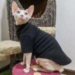 Sphynx Cat Clothes Winter Thick Pet Clothes for Small Dogs Cats Pullover Shirt Soft Warm Hairless Cat Pajamas Dachshund Clothing - Image 2