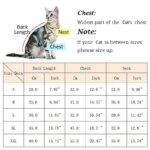 Plush Cat Puppy Button Jacket with Buckle Warm Winter Pet Clothes Cartoon Bear Print Kitten Coat Sphynx Clothing ropa para gato - Image 6
