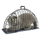 Iron Cat Bath Cage Anti-scratch Anti-bite Fixed Double-door Cat Cage Anti-escaping Bath Blow Dry Cat Beauty Accessories - Image 5