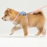 Cat Harness and Leash Sets Adjustable Dog Harness for Small Dog Leash Breashable Pet Harness Out Walking Dog Strap - Image 5