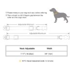 Personalized Nylon Cat Collar Quick Release Kitten Cat Collars Safety Breakaway Pet Puppy Necklace Anti-lost For Cats Adjustable - Image 6