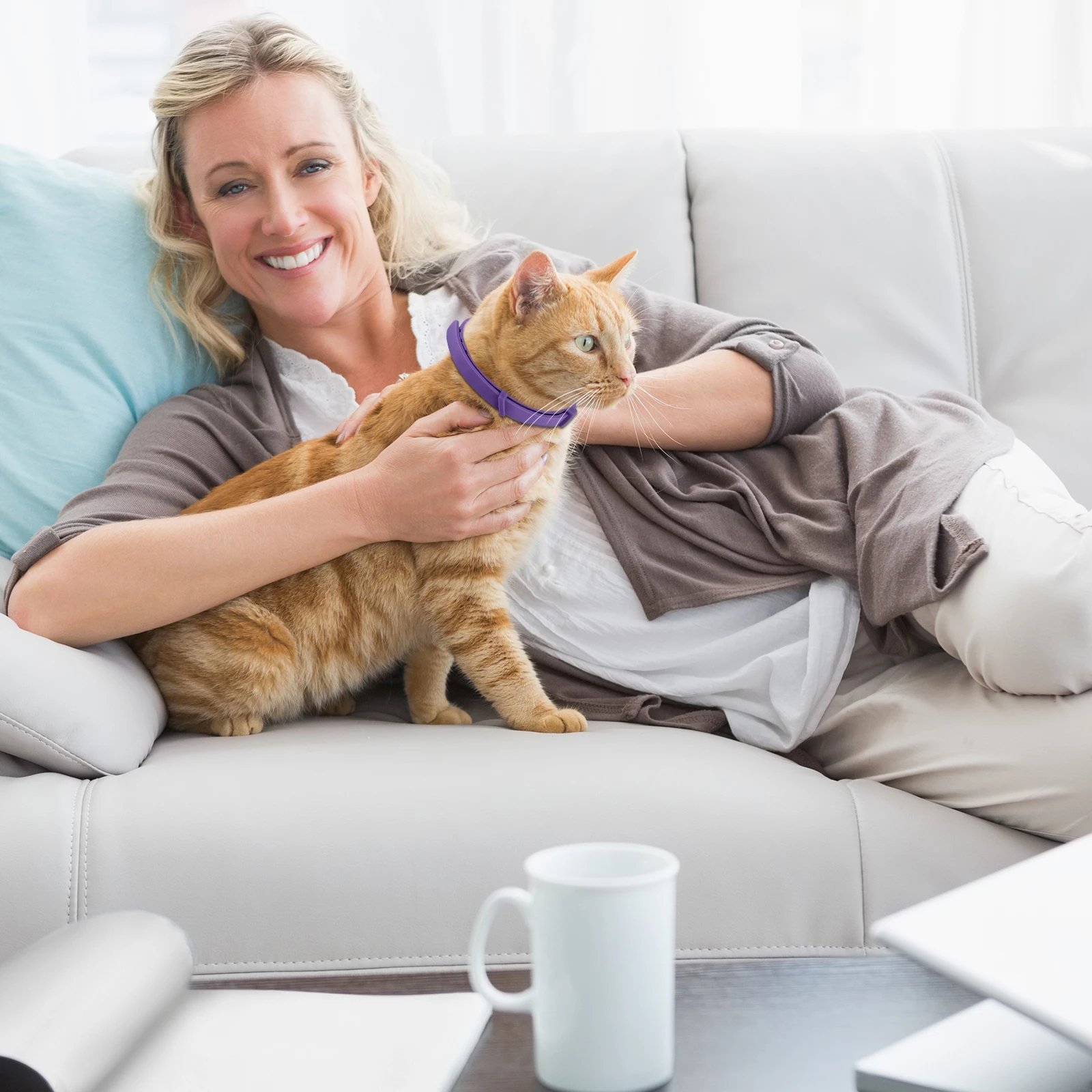 4/8PCS Dogs Calming Pheromone Collars Cats Relieve Anxiety Adjustable Comfortable Collar For Puppy Kitten Large Pets Accessories