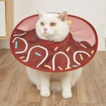 Pet Collar Anti Bite Surgical Anti Lick Wound Healing Protection Sunflower Shaped Cat Recovery Collar Elizabethan Collar - Image 2