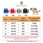 Cat Harness Lead Leash Set Adjustable Reflective Escape Proof Pet Mesh Vest Harness Puppy Dog Collar Small Dog Cat Pet Supplies - Image 2