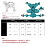 Cats Harness Leash For Small Dogs Cat Outdoor Reflective Adjustable Puppy Kitten Traction Device Tactical Training Pet Supplies - Image 6