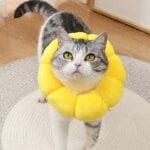 Sunflower Pet Collar Adjustable Anti-Bite Surgery Anti-Lick Wound Healing Cat Protection Collars Soft Plush Elizabethan Collar - Image 4