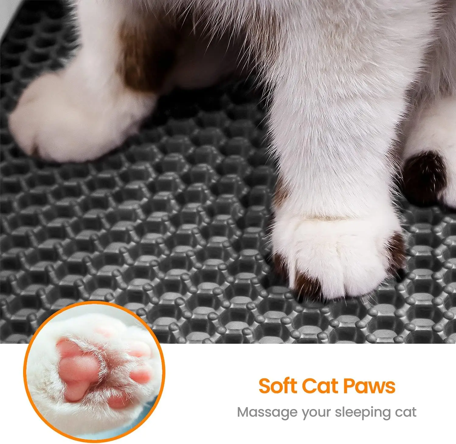 Cat Litter Mat Double Layer Pet Litter Box Waterproof Pet Mat Non-slip Sand Cat Pad Washable Bed Mat Clean Pad Products Cat Litter Mat Double Layer Pet Litter Box Waterproof Pet Mat Non-slip Sand Cat Pad Washable Bed Mat Clean Pad Products
