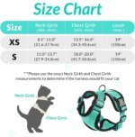 Cat Harness and Leash for Walking, Escape Proof Soft Adjustable Vest Harnesses for Cats, EasyControl - Image 2