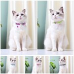 Personalized Cat Collar Reflective Nylon Dog Cats ID Collars With Bell Free Engraving for Cats Small Dogs Chihuahua 10 Colors - Image 6
