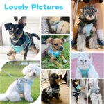 Cat Harness Adjustable Pet Harnesses Reflective Leashes Set Pet Harness for Cats Small Dogs Pug Chihuahua Cat Accessories - Image 6