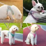 Cat Harness Adjustable Pet Harnesses Reflective Leashes Set Pet Harness for Cats Small Dogs Pug Chihuahua Cat Accessories - Image 5
