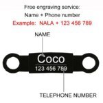 Personalized Name Reflective Cat Collar -Custom ID Adjustable Safety Buckle with Bell Free Engraving Nylon Material Pet Necklace - Image 5