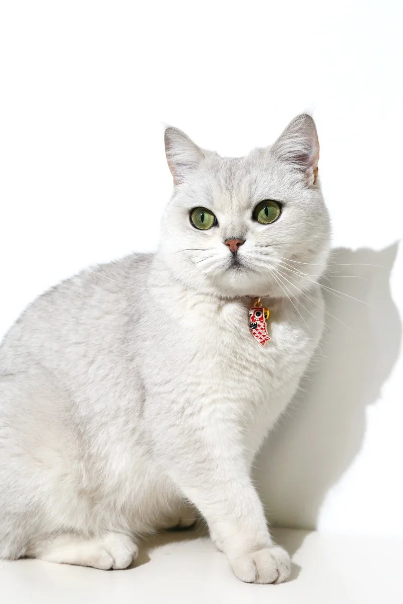 Adjustable Koi Bell Pendant Lucky Cat Collar Japanese Necklace Accessories Pet Supplies