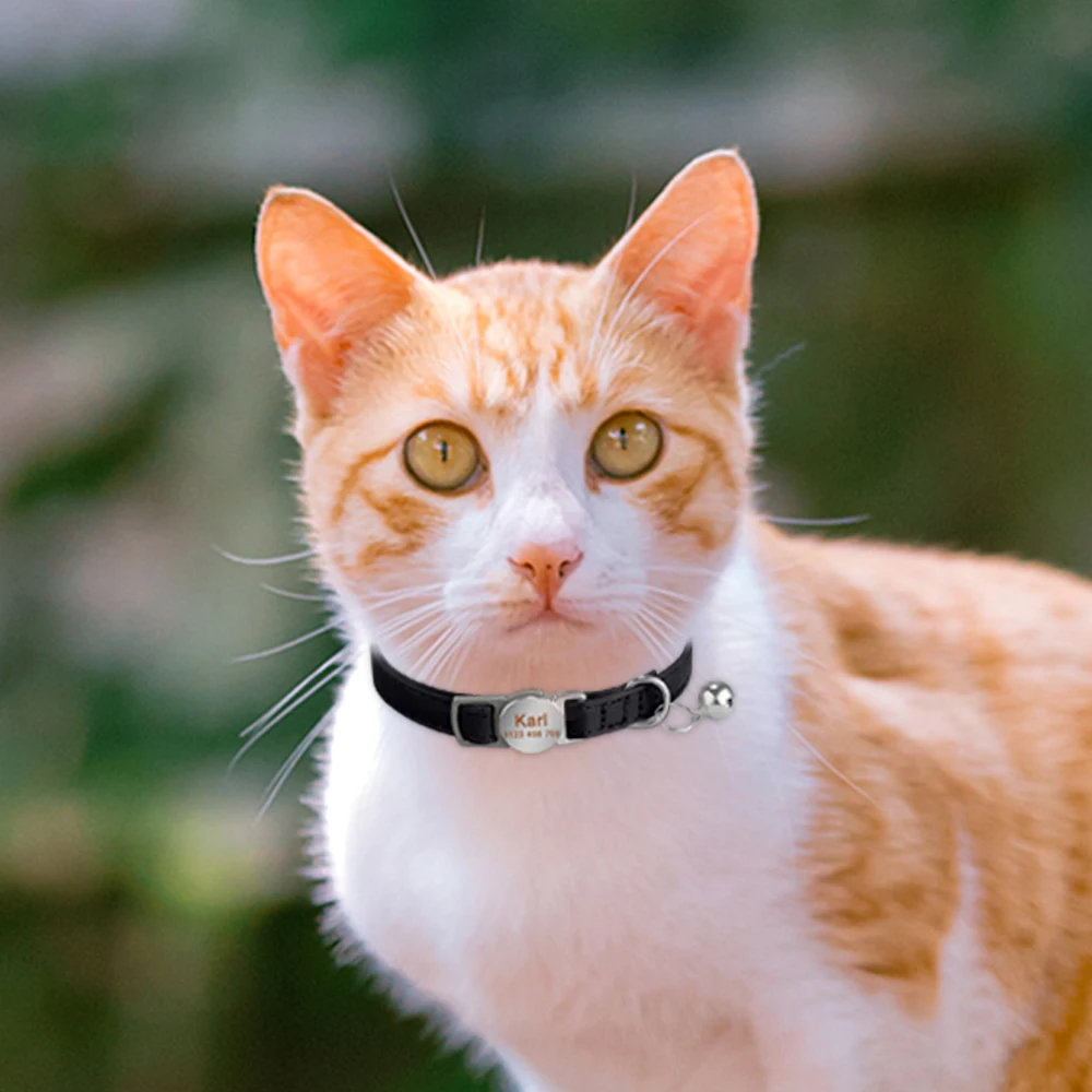 Personalized Engraved Cat Collar Leather Safety Breakaway Collars Adjustable Custom Kitten Necklace With Bell Anti-lost Pet Cats Personalized Engraved Cat Collar Leather Safety Breakaway Collars Adjustable Custom Kitten Necklace With Bell Anti-lost Pet Cats