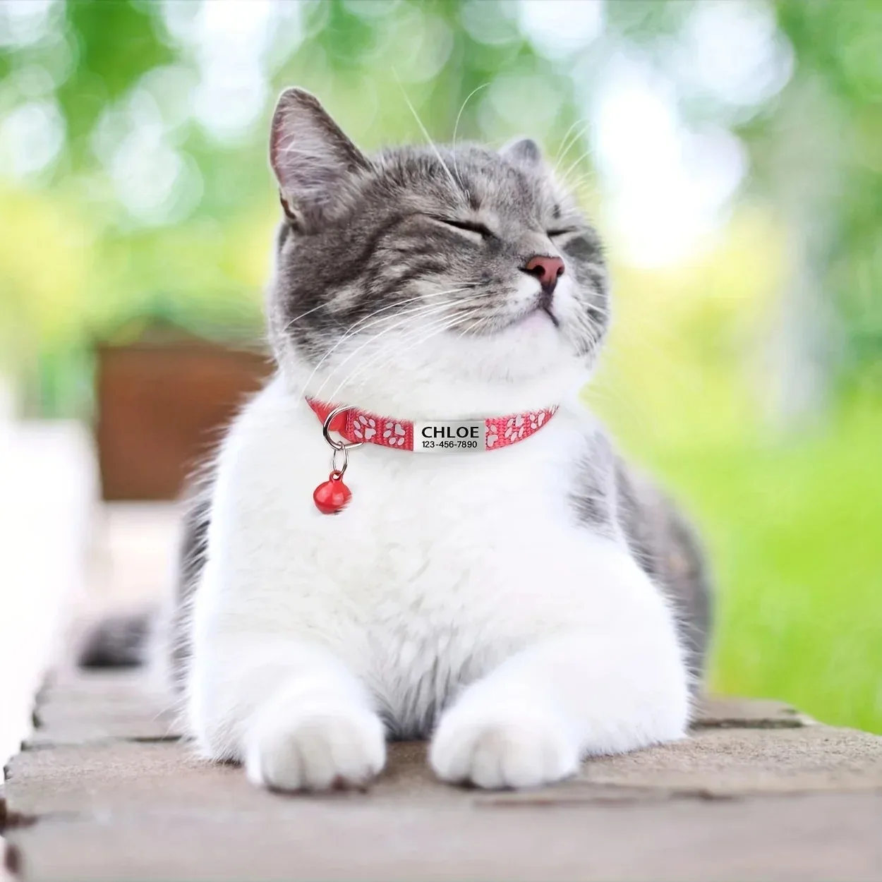 Custom Reflective Cat Collar - Personalized Name Tag & Bell Breakaway Adjustable Anti-Lost Design with Paw Print Collar for Cats