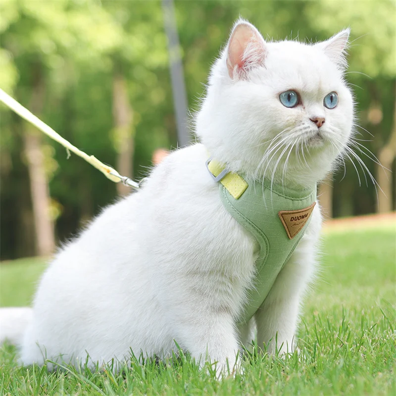 Cat Puppy Outdoor Walking Supplies Fashion Pet Harness and Leash Set for Small Dogs Cats Breathable Durable Kitten Harnesses Cat Puppy Outdoor Walking Supplies Fashion Pet Harness and Leash Set for Small Dogs Cats Breathable Durable Kitten Harnesses