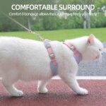 Cat Puppy Outdoor Walking Supplies Fashion Pet Harness and Leash Set for Small Dogs Cats Breathable Durable Kitten Harnesses - Image 4