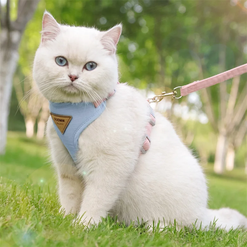 Cat Puppy Outdoor Walking Supplies Fashion Pet Harness and Leash Set for Small Dogs Cats Breathable Durable Kitten Harnesses Cat Puppy Outdoor Walking Supplies Fashion Pet Harness and Leash Set for Small Dogs Cats Breathable Durable Kitten Harnesses