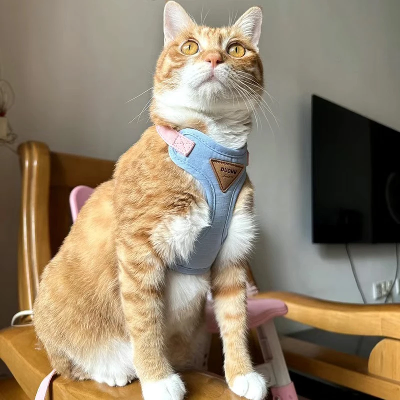 Cat Puppy Outdoor Walking Supplies Fashion Pet Harness and Leash Set for Small Dogs Cats Breathable Durable Kitten Harnesses Cat Puppy Outdoor Walking Supplies Fashion Pet Harness and Leash Set for Small Dogs Cats Breathable Durable Kitten Harnesses