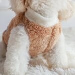 Soft Fleece Dog Clothes Winter Warm Puppy Kitten Pullover Pet Clothes for Small Dogs Chihuahua Bulldog Apparel Sweater for Dogs - Image 5