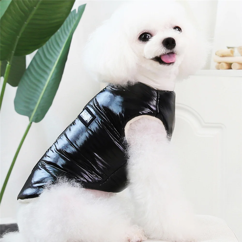 Pet Cats Dog Clothes Winter Warm Down Jacket For Small Dogs Cotton Chihuahua Hooded Clothes Dog Windproof Clothing Coat Apparel Pet Cats Dog Clothes Winter Warm Down Jacket For Small Dogs Cotton Chihuahua Hooded Clothes Dog Windproof Clothing Coat Apparel