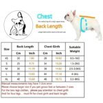 Dog Supplies Accessories Pets Acessorios Chihuahua Apparel Clothes Dogs Pet Sweatshirt Dresses Small For Animal Products - Image 6